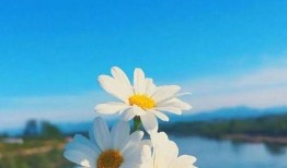 早安最新爆料图片